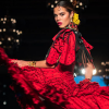 Delia Núñez, la esencia flamenca