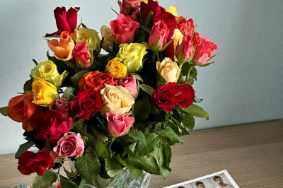 ¿A quién le regalarías una rosa según su color?