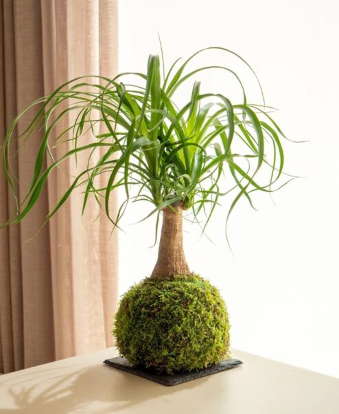 Destacada-portada-Into-the-Glow